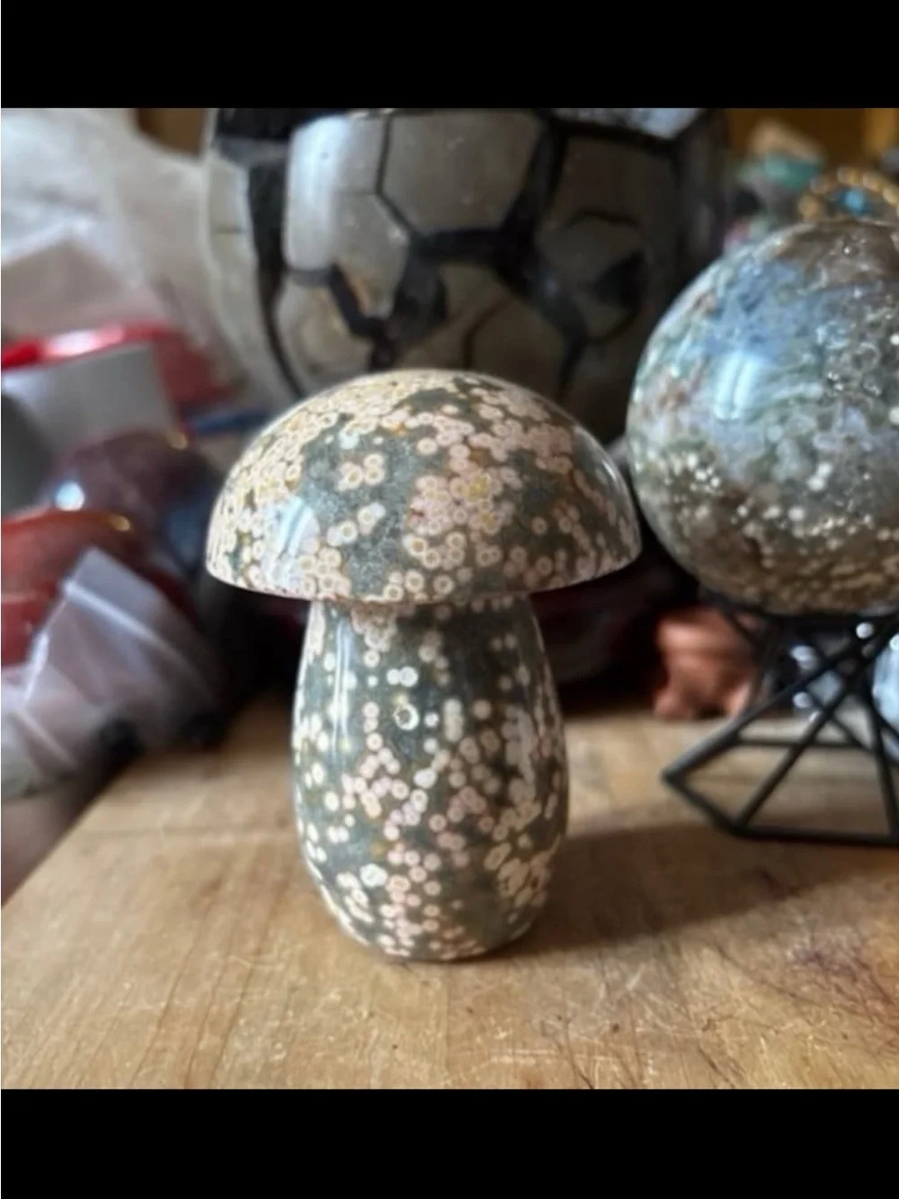 8th Vein Ocean Jasper Mushroom